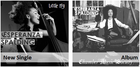 Esperanza Spalding - Little Fly new pop jazz radio
